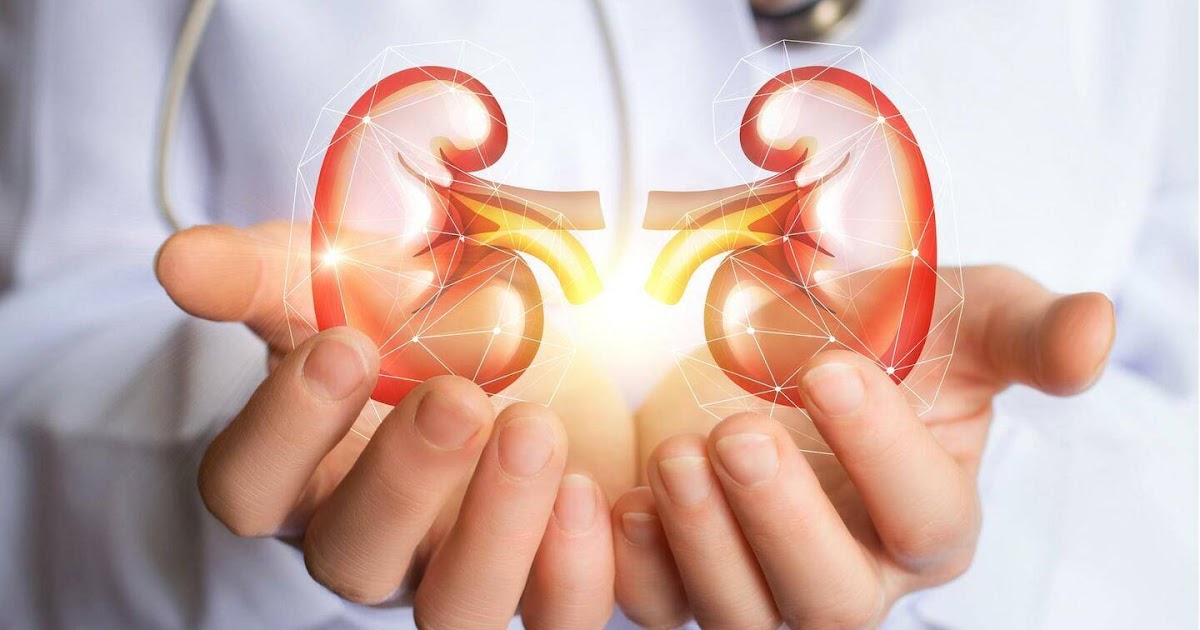 சிறுநீரக நோயாளர்களுக்கான கொடுப்பனவு அதிகரிப்பு !